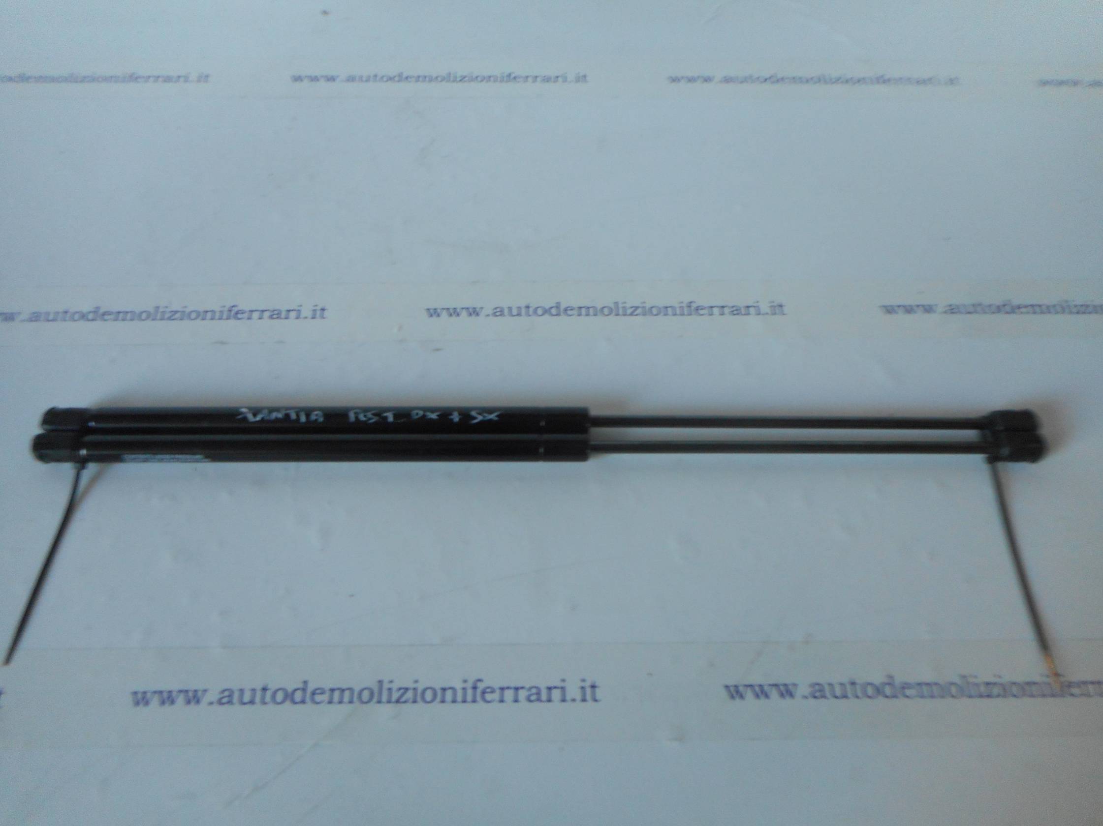 Asta ammortizzante portello post. sx.